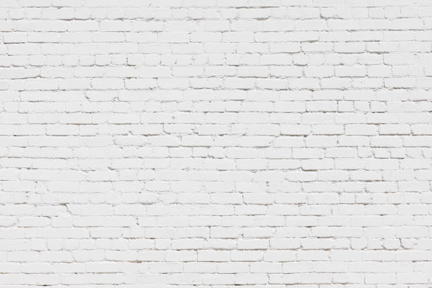 istock Part of a freshly painted old white brick wall 1482183679