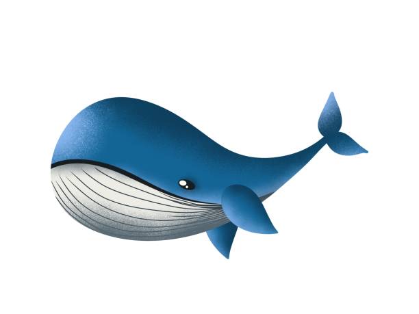 istock Blue whale isolated on white, digital illustration in cartoon style 1482187552