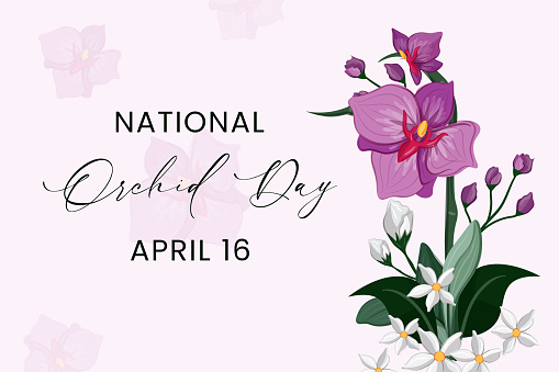 National Orchid Day Vector Illustration. Purple white orchid flower isolated on a soft pink background. Orchid Day Poster, April 16. Important day