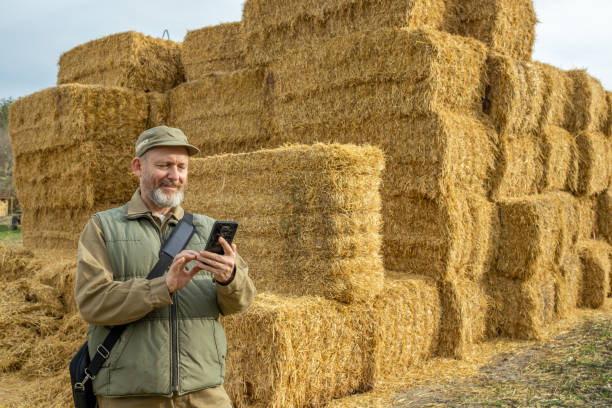 istock Farmer in front of straw bales. 1482189762