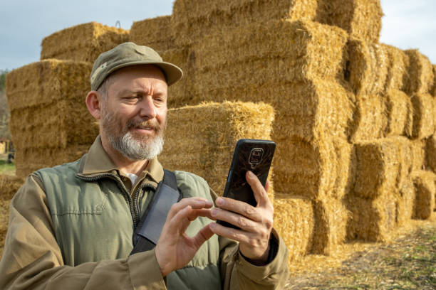 istock Farmer in front of straw bales. 1482189814