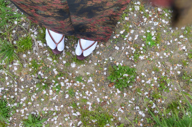Woman in Kimono & Fallen Sakura Petals