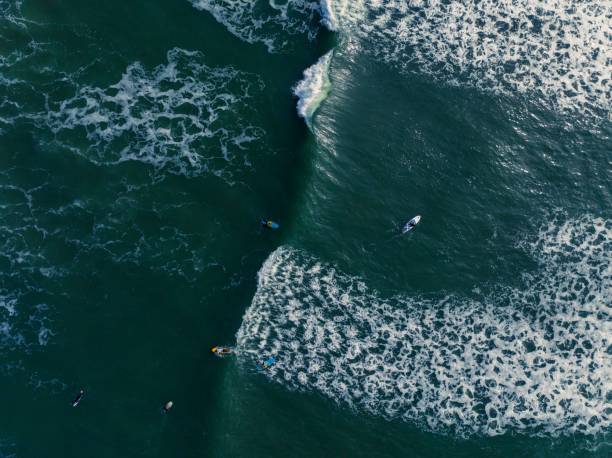 istock people are surfing in the open ocean waters off the coast 1482201314