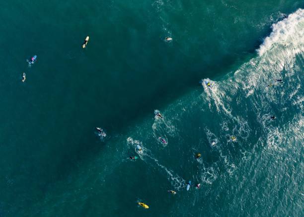 istock people are on the beach and others in the water surf 1482201317