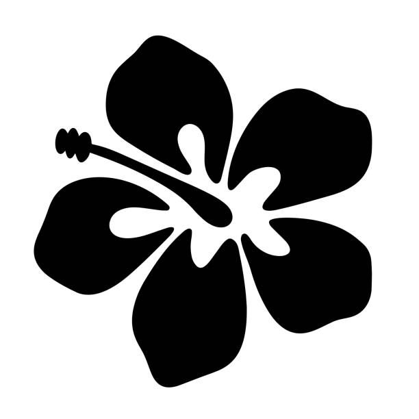 Hibiscus hand drawn icon isolated on white background. Simple black silhouette of Hawaiian flower. Vector lllustration.