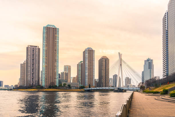 istock Chuo-Ohashi Bridge, Sumida River, Tsukuda Area 1482206394