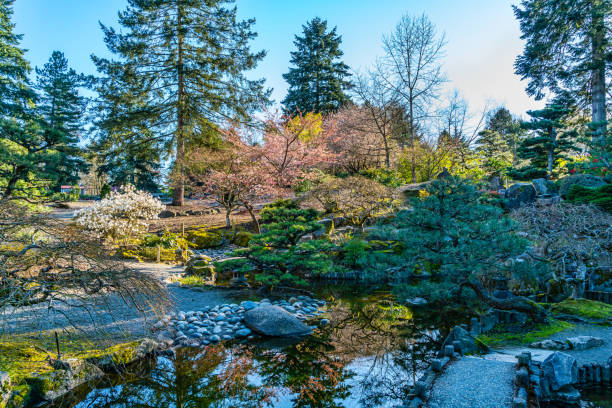 istock Pond And Garden Seatac 1482207259