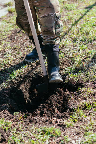 istock A man is planting a young tree. The farmer is digging the ground with a shovel for a small seedling. The concept of protection of the environment and ecology 1482209529