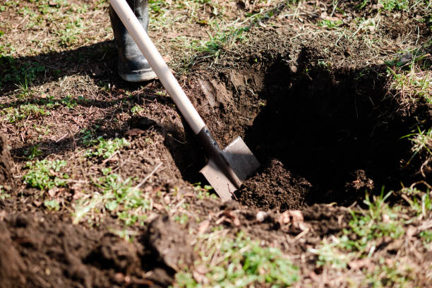 istock A man is planting a young tree. The farmer is digging the ground with a shovel for a small seedling. The concept of protection of the environment and ecology 1482210204