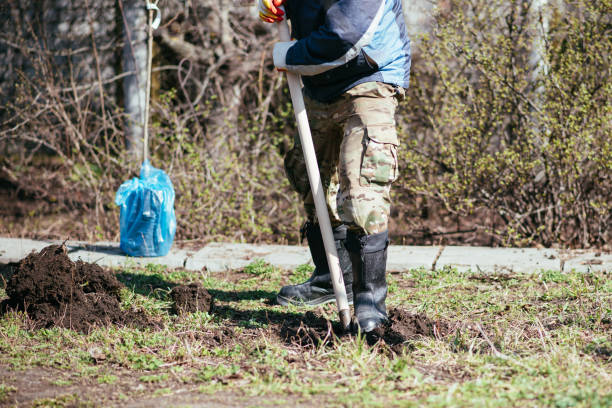 istock A man is planting a young tree. The farmer is digging the ground with a shovel for a small seedling. The concept of protection of the environment and ecology 1482210981