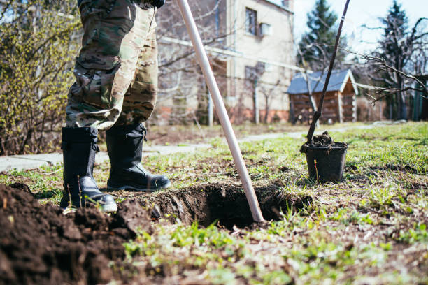 istock A man is planting a young tree. The farmer is digging the ground with a shovel for a small seedling. The concept of protection of the environment and ecology 1482211037
