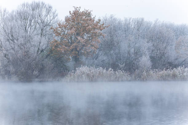 istock Winter landscape Surrey England 1482211813