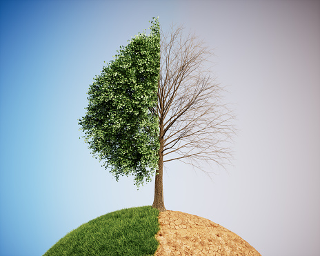 Conceptual image representing the impacts of climate change, featuring a tree standing on a sphere divided into two contrasting halves. 
One half of the sphere displays fertile soil and green grass, while the other is dry and barren. 
The tree also reflects this duality, with one side flourishing with green leaves and the other side leafless and desiccated. 
The contrasting background adds to the concept, showcasing a bright blue sky on one side and a gray, gloomy sky on the other.