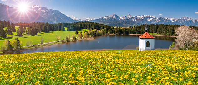 panoramic view to rural landscape with mountain range and meadow at springtime