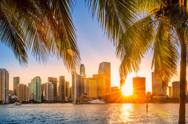 istock Miami, Florida skyline at sunset 1482219603