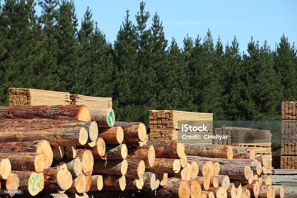 De madeira e campo - Royalty-free Amontoar Foto de stock