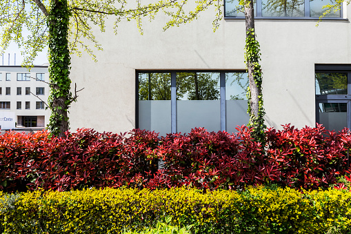 Elements of a garden in a business center for commerce