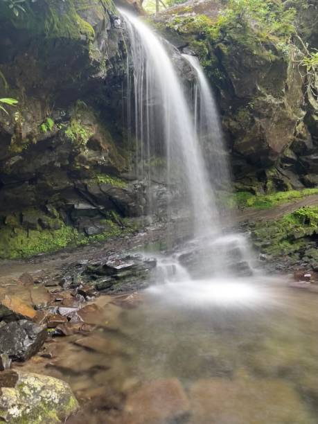 гротто-фоллс, штат теннесси - grotto falls стоковые фото и изображения