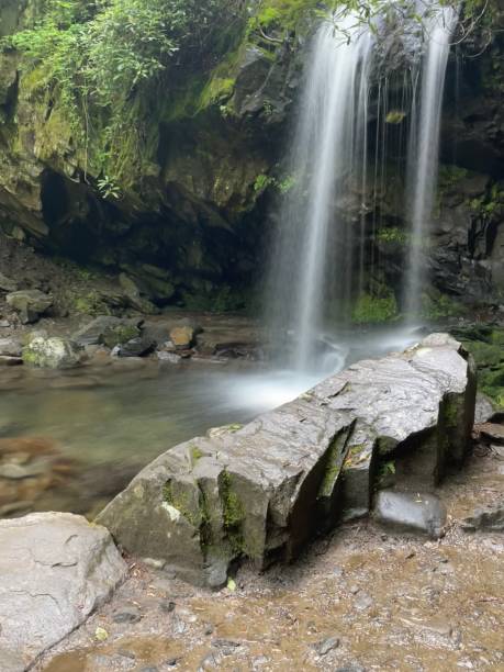 гротто-фоллс, штат теннесси - grotto falls стоковые фото и изображения