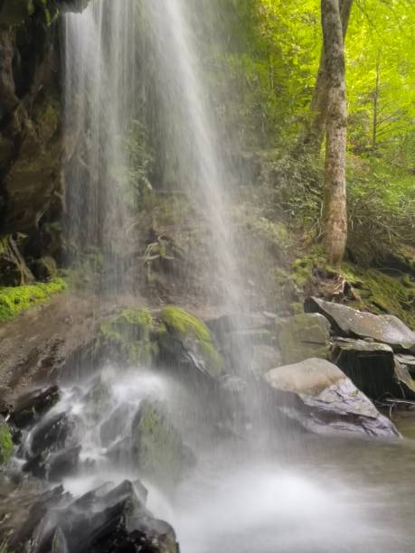 гротто-фоллс, штат теннесси - grotto falls стоковые фото и изображения