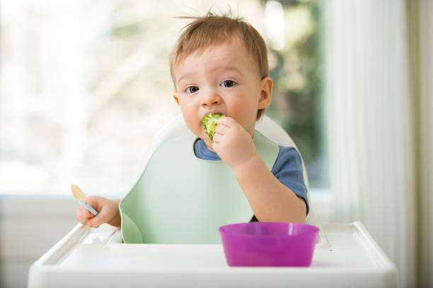 Cute baby eating first solid food stock photo