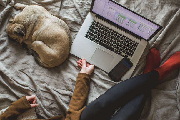 istock person with their dog on the side and working 1482225183