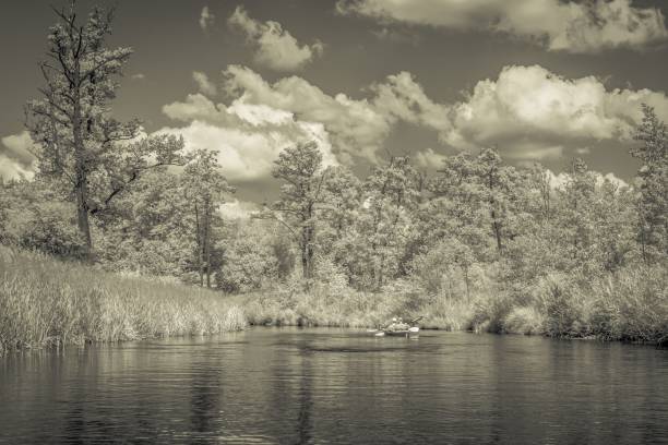 istock Monochromic shot of a kayak in a river flowing between thickets 1482226675