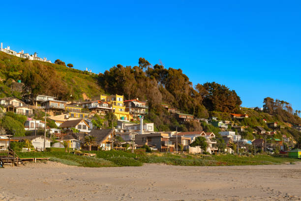 Maitencillo in the coast of central Chile