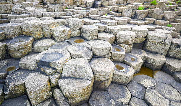 giants causeway, irlandia północna, wielka brytania.  zbliżenia wzory niektórych czterdziestu tysięcy zazębiających się bazaltowych kolumn - coleraine zdjęcia i obrazy z banku zdjęć