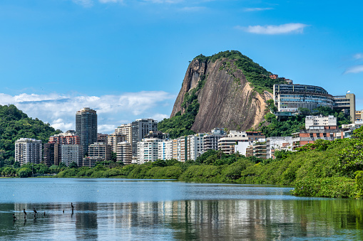 This photo showcases the awe-inspiring skyline of Rio de Janeiro, Brazil. The cityscape is a magnificent display of architectural and natural wonders. The photo captures the bustling metropolis with its vibrant streets, colorful buildings, and modern infrastructure, making it an ideal choice for travel brochures, websites, or any project that aims to highlight the beauty and wonder of this incredible city.