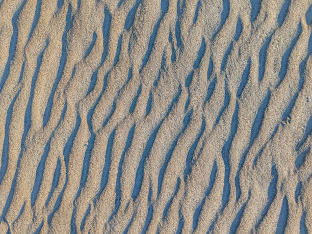 istock Natural sand texture. Sandy beach for background. Top view 1482234089