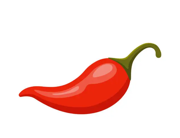 Vector illustration of Chili pepper. Mexican traditional food, red spicy hot chili peppers. Vector illustration.