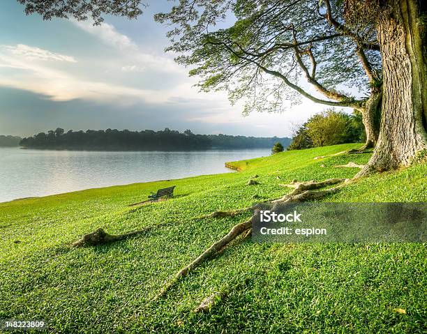 Zielone Jezioro Stronie O Zachodzie Słońca - zdjęcia stockowe i więcej obrazów Baldachim drzew - Baldachim drzew, Bez ludzi, Brzeg jeziora