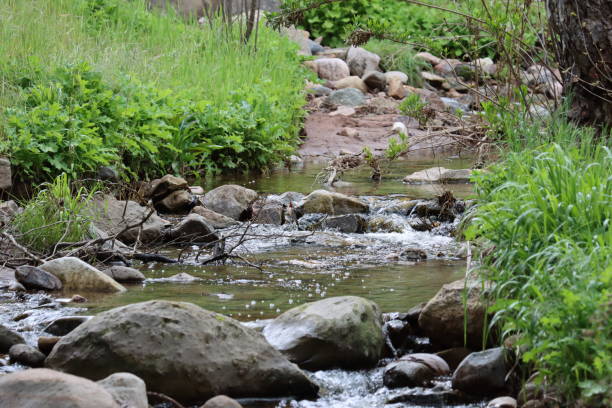 istock Whimsical Waters - Santa Monica Mtns - 040323 1482240064