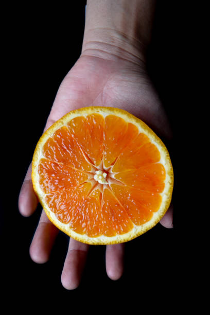 istock an Asian woman's hand holding an orange fruit against a dark background. 1482240826