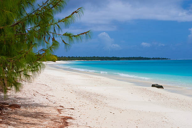 a stunning view of bikini atoll lagoon  - marshallöarna bildbanksfoton och bilder
