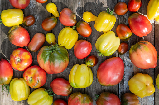 A set of different varieties of tomatoes arranged on a wooden table. Top view.