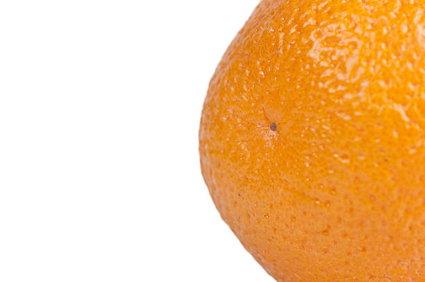 istock Part of orange with copy space 148224550