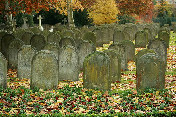 istock Cemetery or graveyard in the fall, anonymous headstones with pansies 148224644
