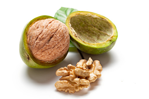 Fresh Walnuts isolated on white background.