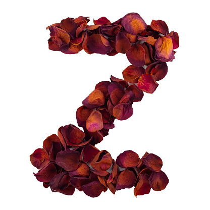 Letter Z from dry red rose petals, isolated on white background. Nature typography, english alphabet. Design element from rose petals
