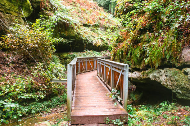 Stone steps on Gorge Trail in Watkins Glen State Park in New York, USA.