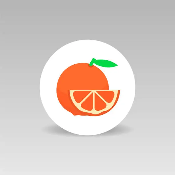 Vector illustration of Grapefruit round vector icon isolated Flat design