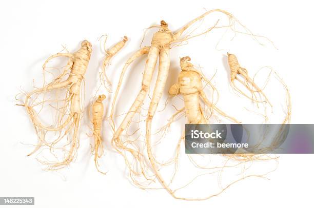 Fresh Ginseng Man Root Stock Photo - Download Image Now - Ginseng, Root, Herbal Medicine