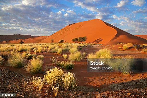 Hierba Y Cielo Dunas Foto de stock y más banco de imágenes de Namibia - Namibia, Sossusvlei, Desierto del Namib