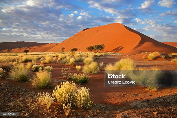Трава И Небо Дюна — стоковые фотографии и другие картинки Намибия - Намибия, Соссусфлей, Пустыня Намиб