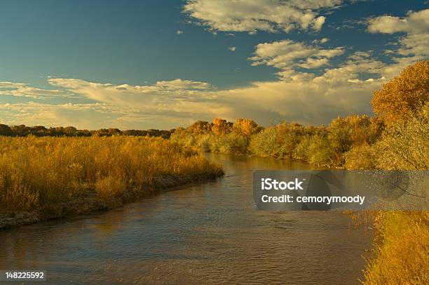 Foto de Rio Grande River e mais fotos de stock de Beleza natural - Natureza - Beleza natural - Natureza, Bosque - Floresta, Estação do ano