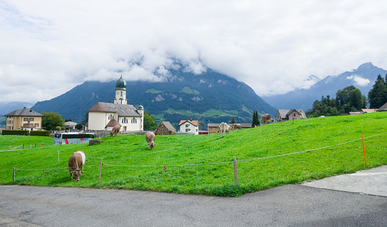 Village near the cheese factory in Switzerland with green grass, mountain, cow , church and dramatic sky. Europe travel, cruise ship destination.