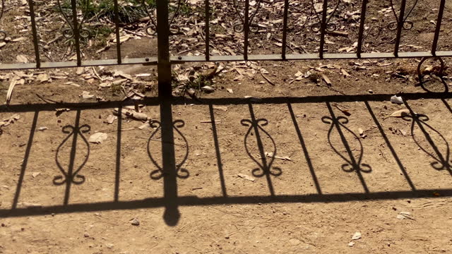 Iron fence and shadow