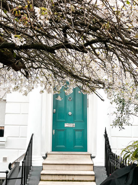 fachada de uma casa em notting hill com portas coloridas e uma flor de cerejeira hipnotizante no quintal - apartment row house comfortable house - fotografias e filmes do acervo